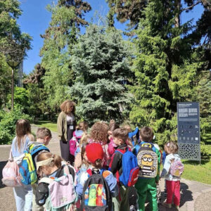 БОТАНИЧКА БАШТА (10)