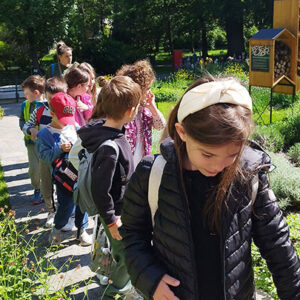 БОТАНИЧКА БАШТА (3)