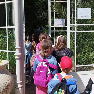 БОТАНИЧКА БАШТА (4)