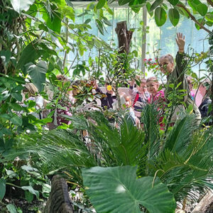 БОТАНИЧКА БАШТА (6)