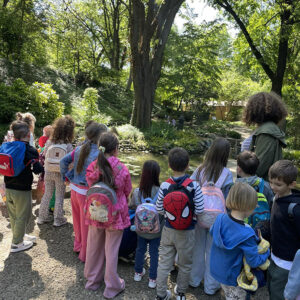 БОТАНИЧКА БАШТА (7)