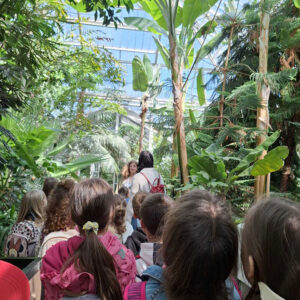 БОТАНИЧКА БАШТА (8)