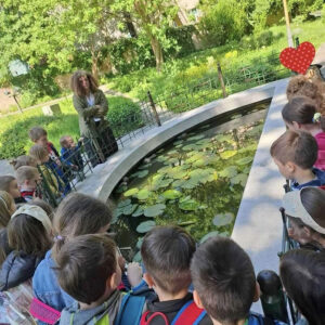 БОТАНИЧКА БАШТА (9)