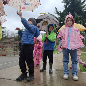 КИША НИЈЕ ВРЕМЕНСКА НЕПОГОДА (3)