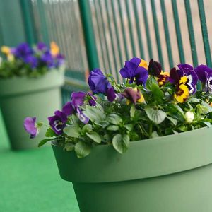 О нама – ПУ Анђео (28) О нама – ПУ Анђео (28)